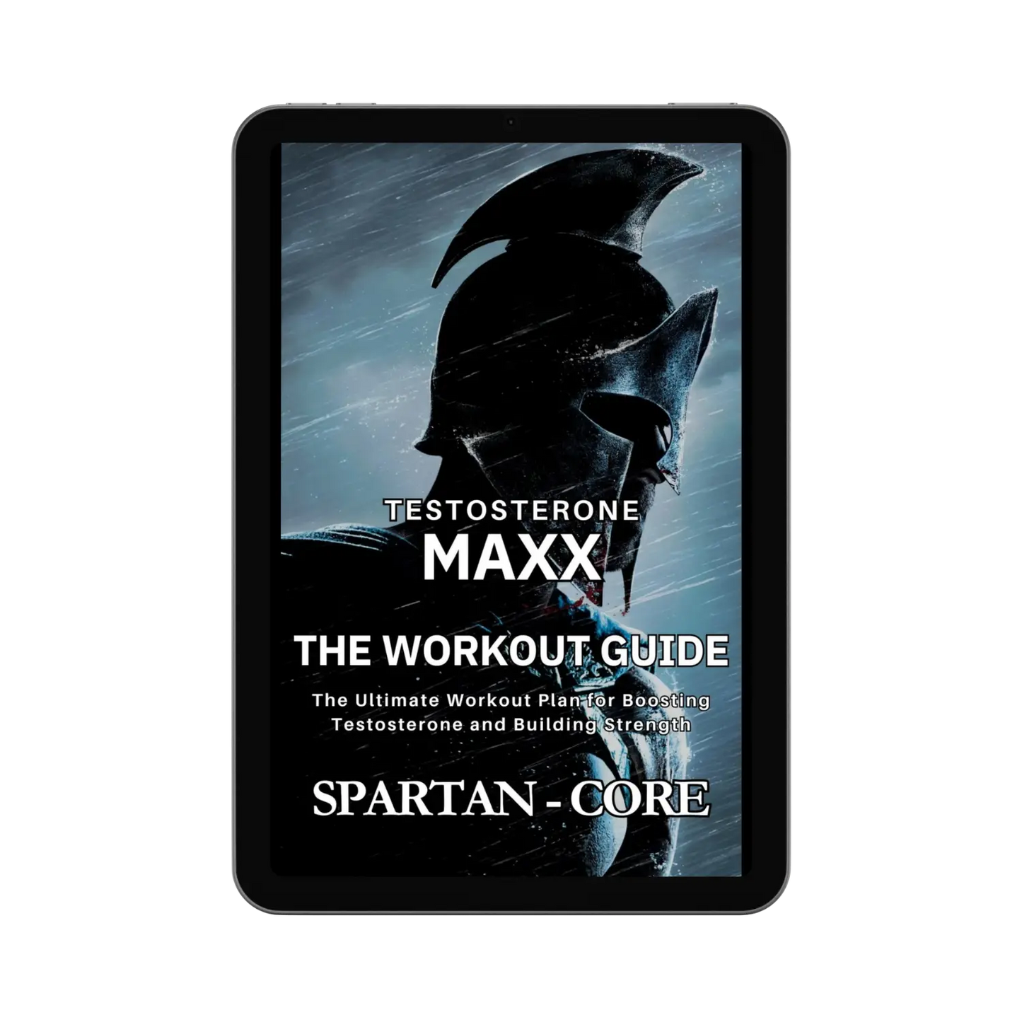 Spartan Workout Guide 💪